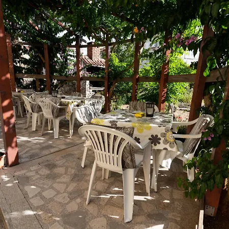 Sonja * 쿠클리차