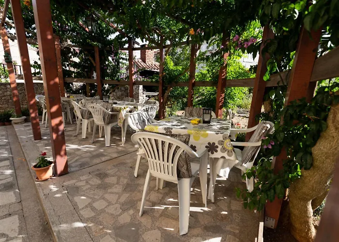 Sonja * 쿠클리차